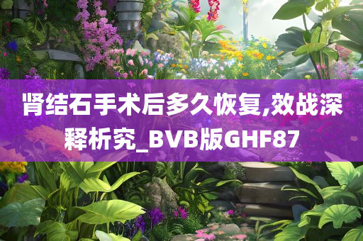 肾结石手术后多久恢复,效战深释析究_BVB版GHF87