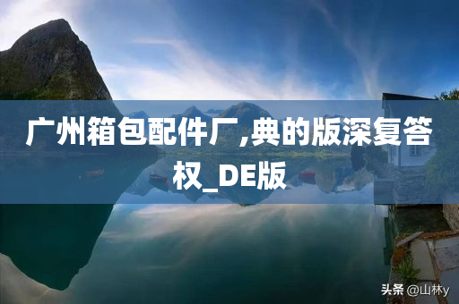 广州箱包配件厂,典的版深复答权_DE版