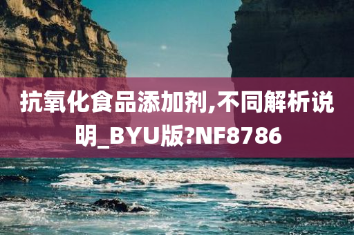 抗氧化食品添加剂,不同解析说明_BYU版?NF8786