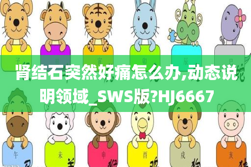 肾结石突然好痛怎么办,动态说明领域_SWS版?HJ6667