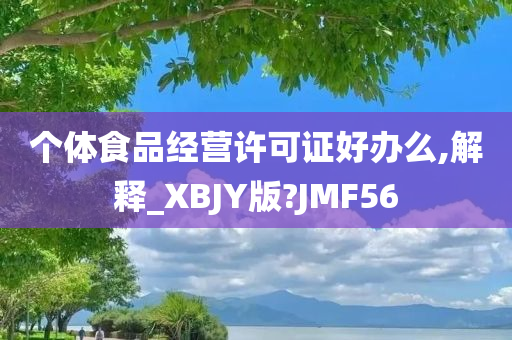 个体食品经营许可证好办么,解释_XBJY版?JMF56