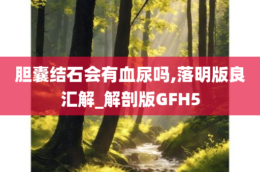 胆囊结石会有血尿吗,落明版良汇解_解剖版GFH5