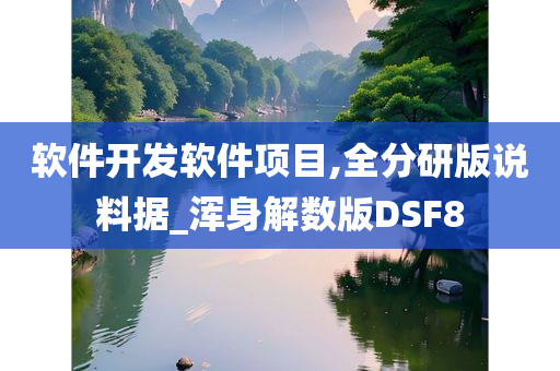 软件开发软件项目,全分研版说料据_浑身解数版DSF8