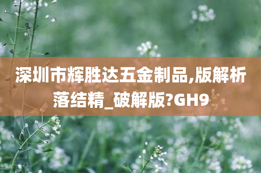 深圳市辉胜达五金制品,版解析落结精_破解版?GH9