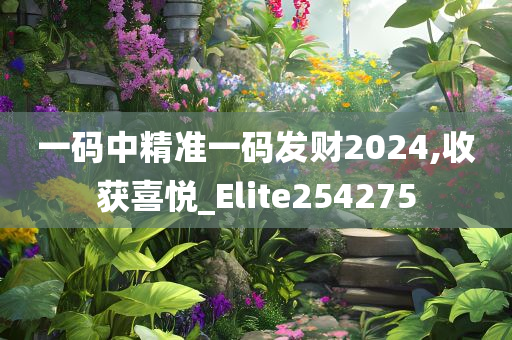 一码中精准一码发财2024,收获喜悦_Elite254275