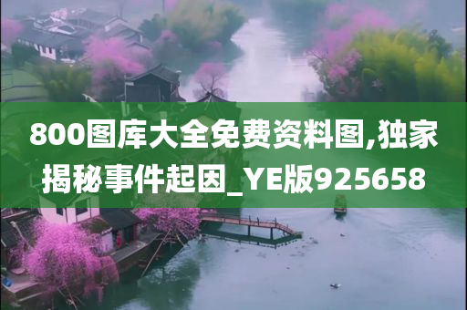 800图库大全免费资料图,独家揭秘事件起因_YE版925658