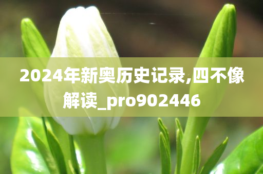 2024年新奥历史记录,四不像解读_pro902446