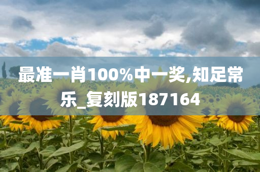 最准一肖100%中一奖,知足常乐_复刻版187164