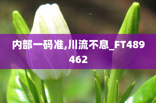 内部一码准,川流不息_FT489462