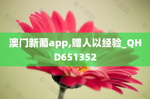 澳门新葡app,赠人以经验_QHD651352