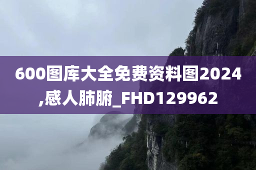 600图库大全免费资料图2024,感人肺腑_FHD129962