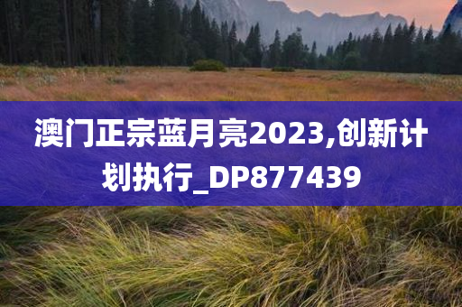 澳门正宗蓝月亮2023,创新计划执行_DP877439