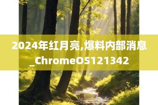 2024年红月亮,爆料内部消息_ChromeOS121342