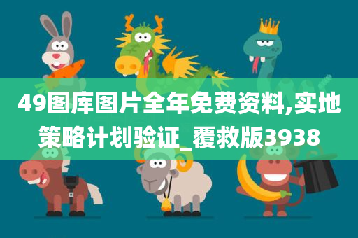 49图库图片全年免费资料,实地策略计划验证_覆救版3938