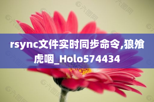 rsync文件实时同步命令,狼飧虎咽_Holo574434