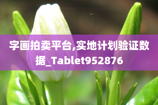 字画拍卖平台,实地计划验证数据_Tablet952876