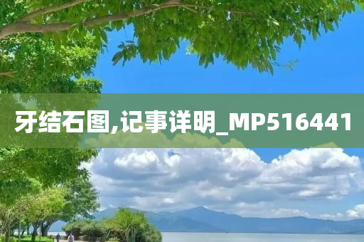 牙结石图,记事详明_MP516441