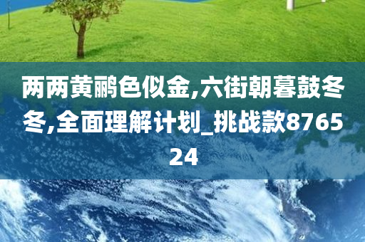 两两黄鹂色似金,六街朝暮鼓冬冬,全面理解计划_挑战款876524