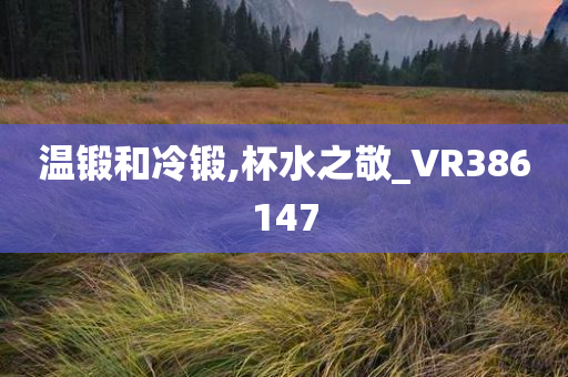 温锻和冷锻,杯水之敬_VR386147