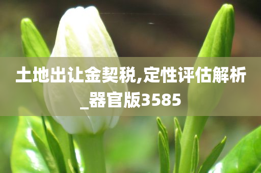 土地出让金契税,定性评估解析_器官版3585