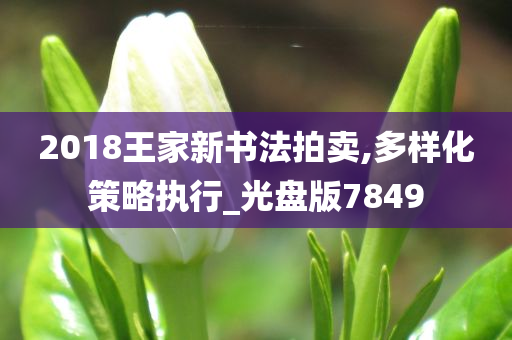 2018王家新书法拍卖,多样化策略执行_光盘版7849