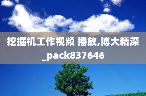 挖掘机工作视频 播放,博大精深_pack837646