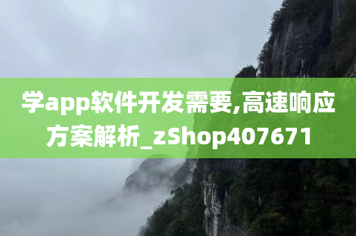 学app软件开发需要,高速响应方案解析_zShop407671