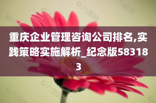 重庆企业管理咨询公司排名,实践策略实施解析_纪念版583183