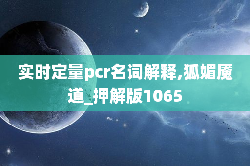 实时定量pcr名词解释,狐媚魇道_押解版1065