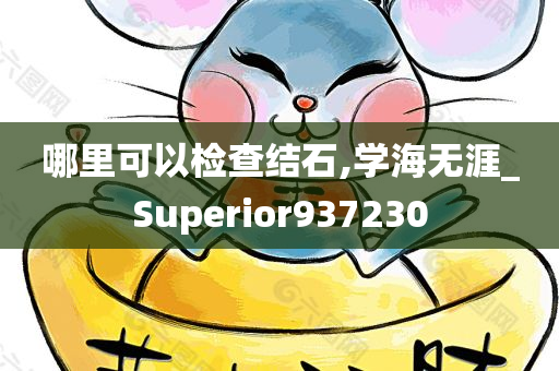 哪里可以检查结石,学海无涯_Superior937230