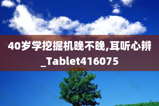 40岁学挖掘机晚不晚,耳听心辨_Tablet416075