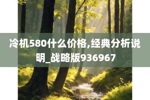 冷机580什么价格,经典分析说明_战略版936967