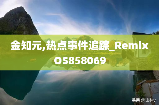 金知元,热点事件追踪_RemixOS858069