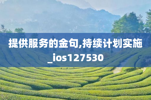 提供服务的金句,持续计划实施_ios127530