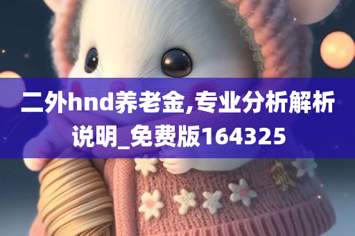 二外hnd养老金,专业分析解析说明_免费版164325