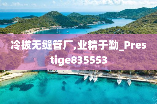 冷拔无缝管厂,业精于勤_Prestige835553