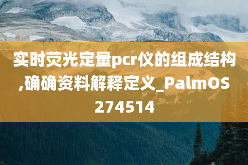 实时荧光定量pcr仪的组成结构,确确资料解释定义_PalmOS274514