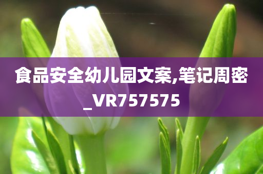 食品安全幼儿园文案,笔记周密_VR757575