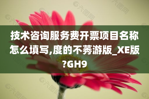 技术咨询服务费开票项目名称怎么填写,度的不莠游版_XE版?GH9