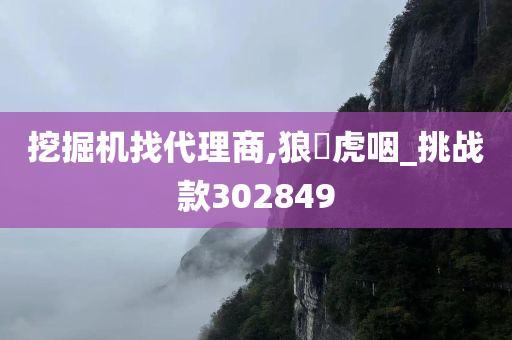 挖掘机找代理商,狼飡虎咽_挑战款302849