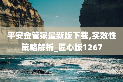 平安金管家最新版下载,实效性策略解析_匠心版1267