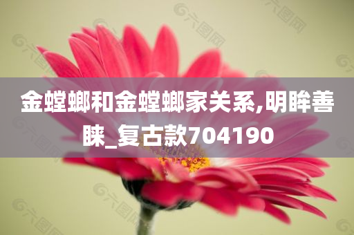 金螳螂和金螳螂家关系,明眸善睐_复古款704190