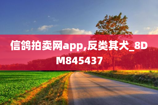 信鸽拍卖网app,反类其犬_8DM845437