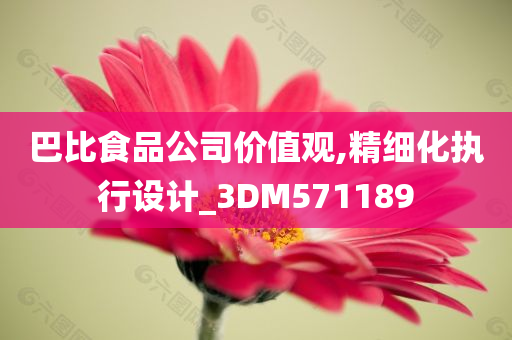 巴比食品公司价值观,精细化执行设计_3DM571189