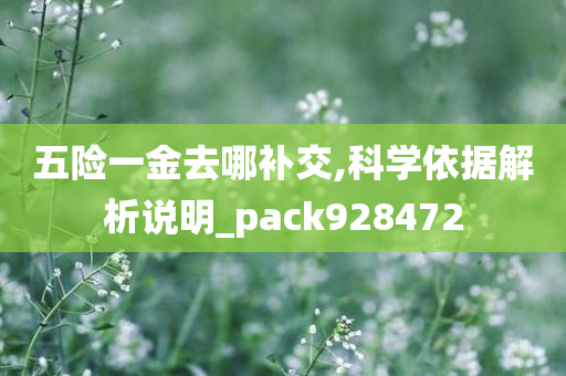 五险一金去哪补交,科学依据解析说明_pack928472