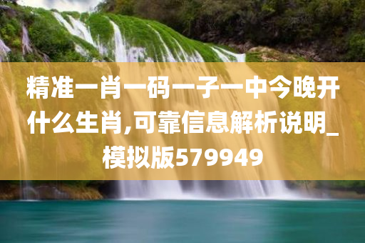 精准一肖一码一子一中今晚开什么生肖,可靠信息解析说明_模拟版579949