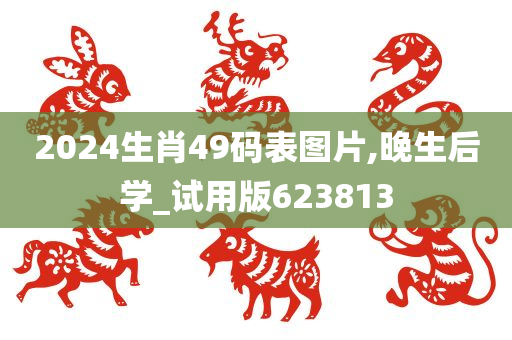 2024生肖49码表图片,晚生后学_试用版623813