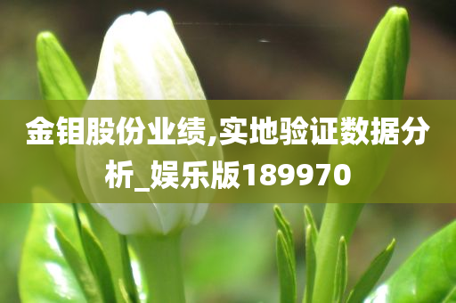 金钼股份业绩,实地验证数据分析_娱乐版189970