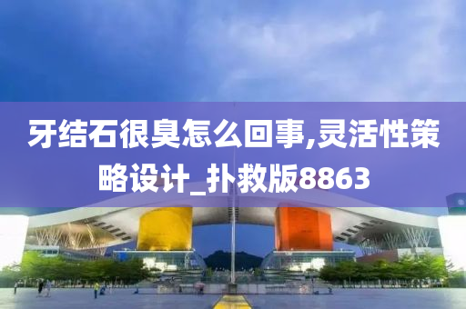 牙结石很臭怎么回事,灵活性策略设计_扑救版8863