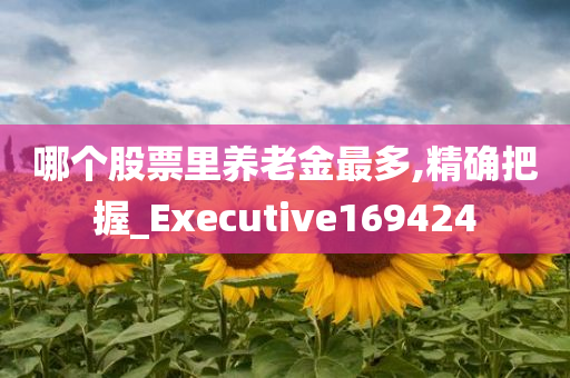 哪个股票里养老金最多,精确把握_Executive169424